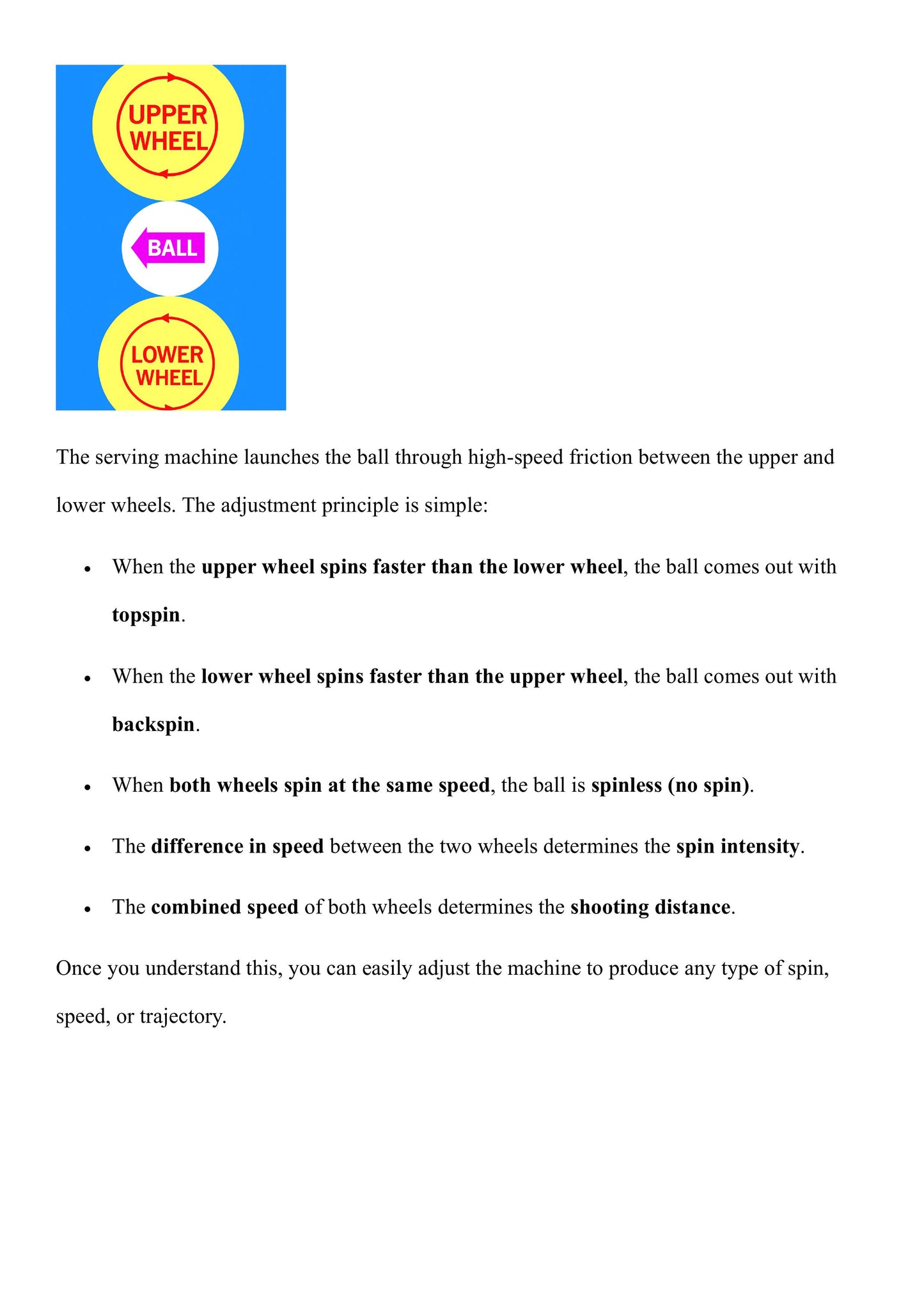 Pingpang serve bot and Table tennis ball Collection Net