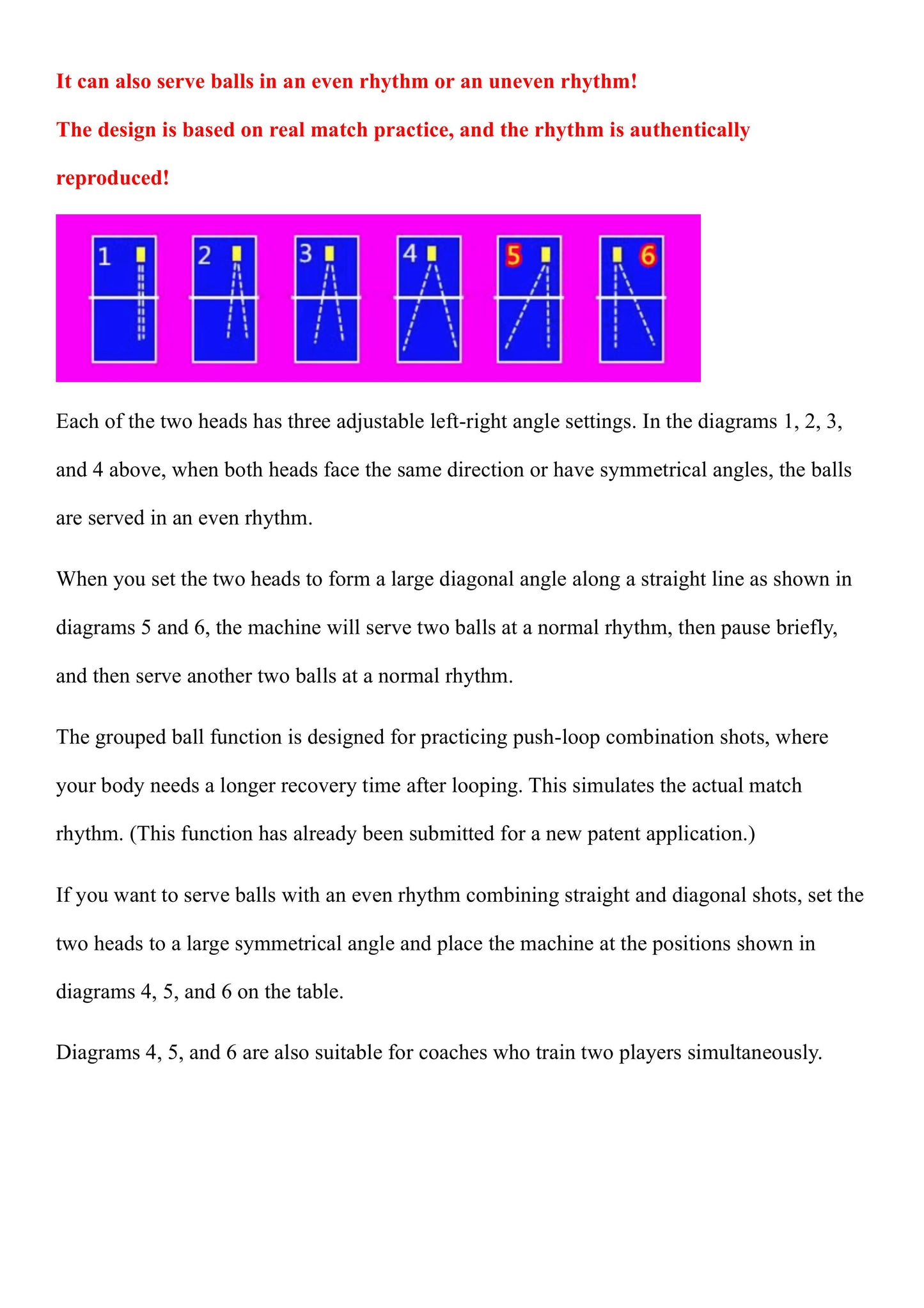 Pingpang serve bot and Table tennis ball Collection Net